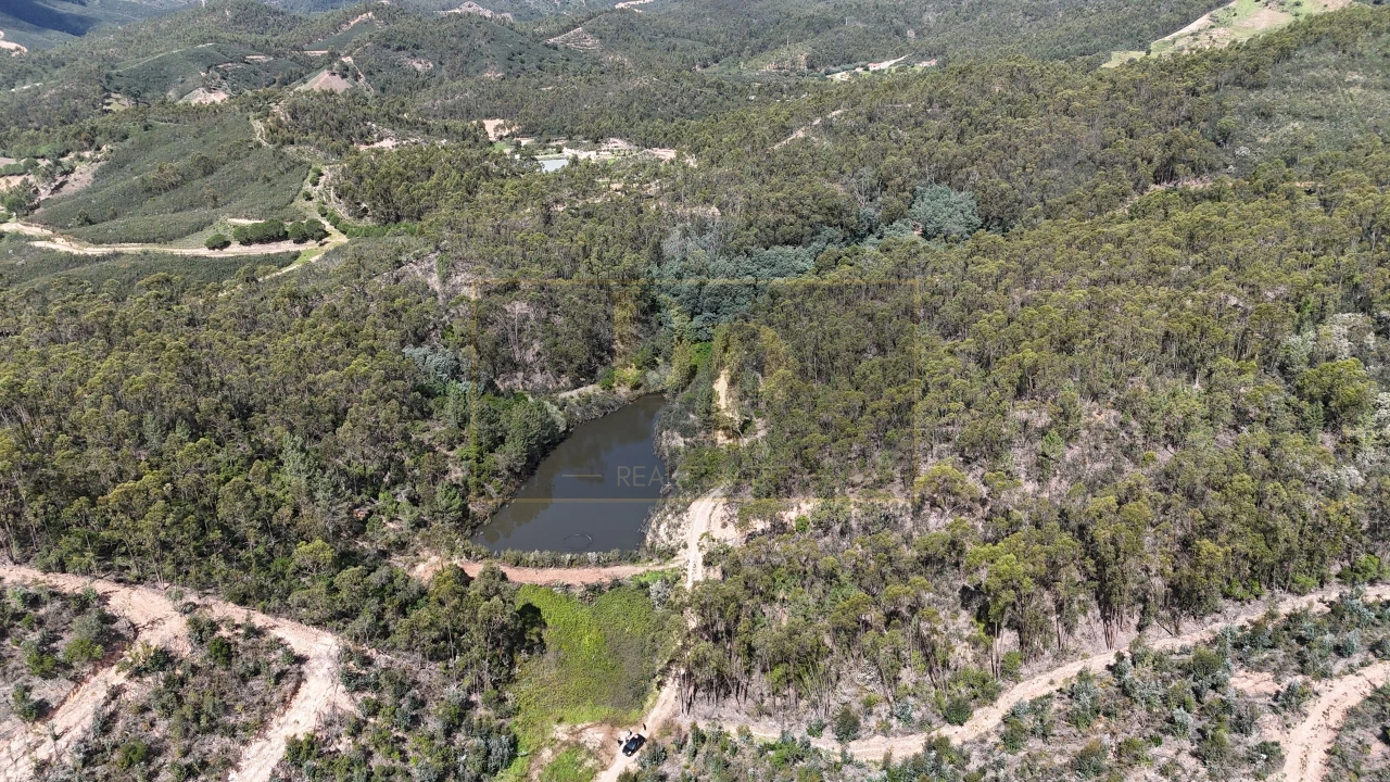 Terreno para Venda em Marmelete Foto 2