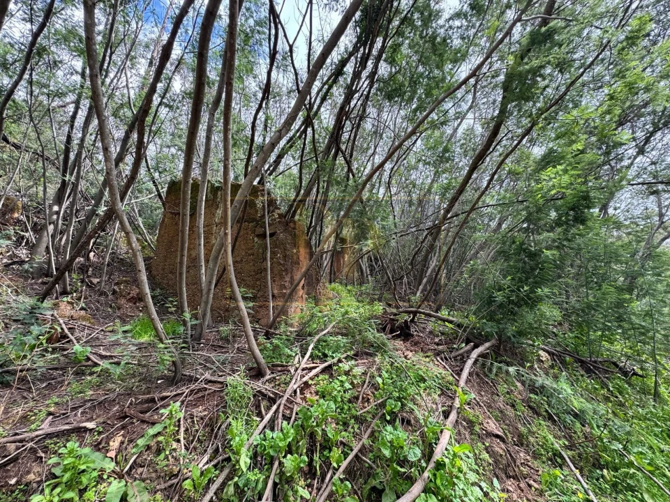 Terreno para Venda em Marmelete Foto 14