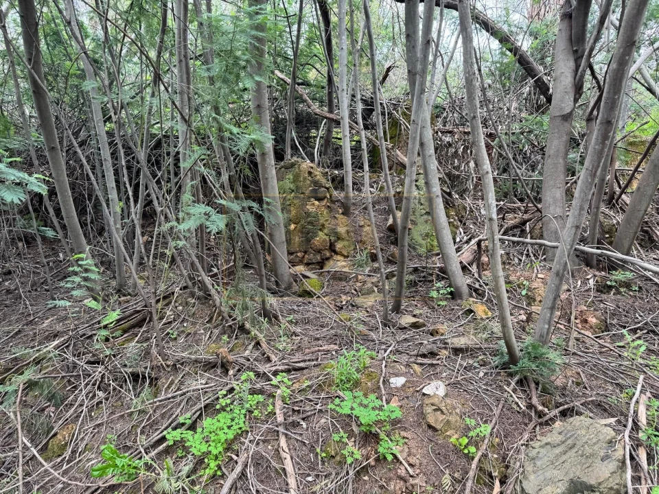 Terreno para Venda em Marmelete Foto 8