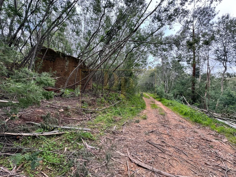 Terreno para Venda em Marmelete Foto 10