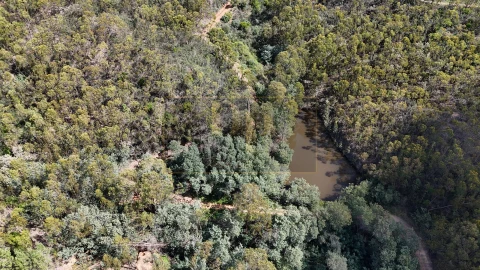 Terreno para Venda em Marmelete