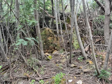 Terreno para Venda em Marmelete