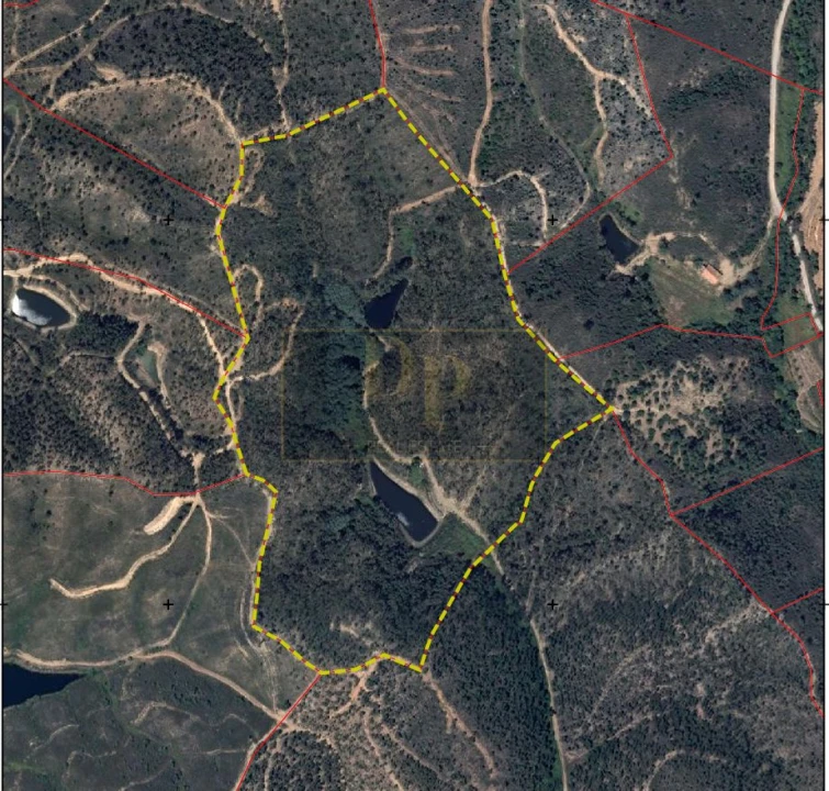 Terreno para Venda em Marmelete Foto 17