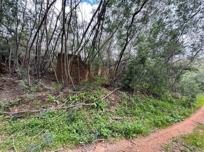 Terreno para Venda em Marmelete Foto 16