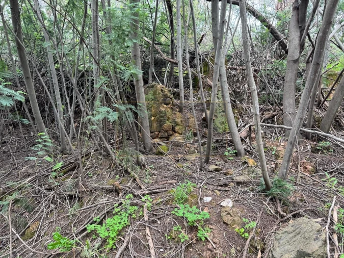 Terreno para Venda em Marmelete Foto 8