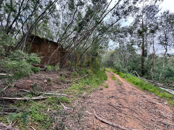 Terreno para Venda em Marmelete Foto 10