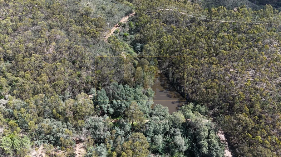 Terreno para Venda em Marmelete Foto 4
