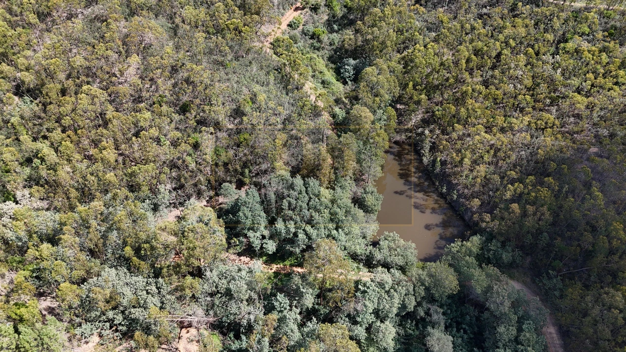 Terreno para Venda em Marmelete Foto 5