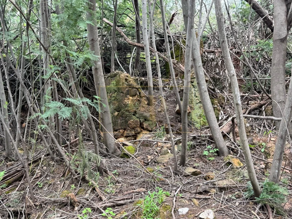 Terreno para Venda em Marmelete Foto 7