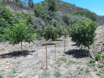 Quinta T2 para Venda em Marmelete