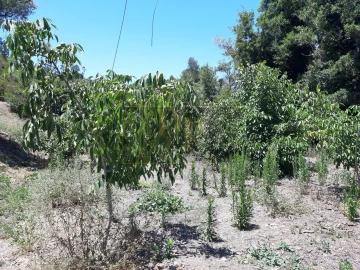 Quinta T2 para Venda em Marmelete