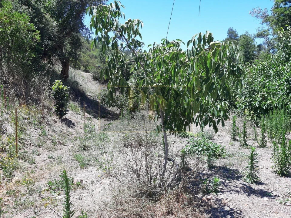 Quinta T2 para Venda em Marmelete Foto 11