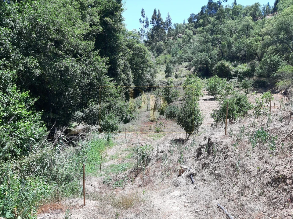 Quinta T2 para Venda em Marmelete Foto 20