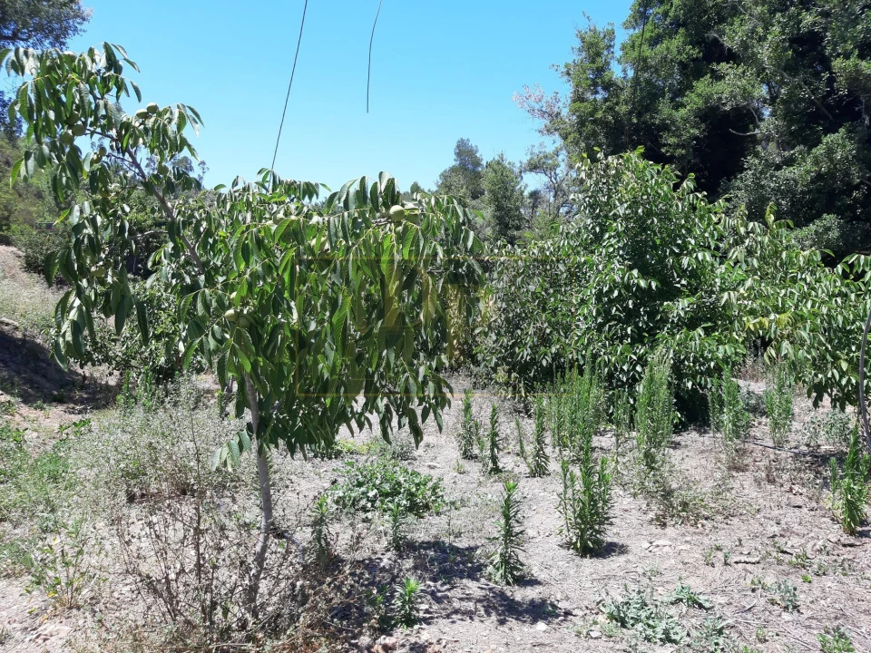 Quinta T2 para Venda em Marmelete Foto 9