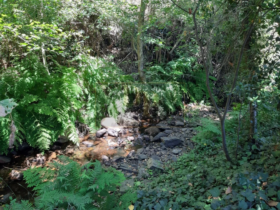 Quinta T2 para Venda em Marmelete Foto 10