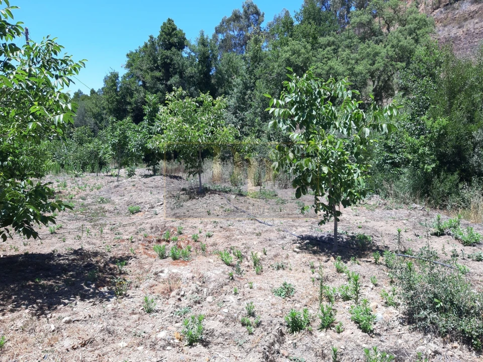 Quinta T2 para Venda em Marmelete Foto 5