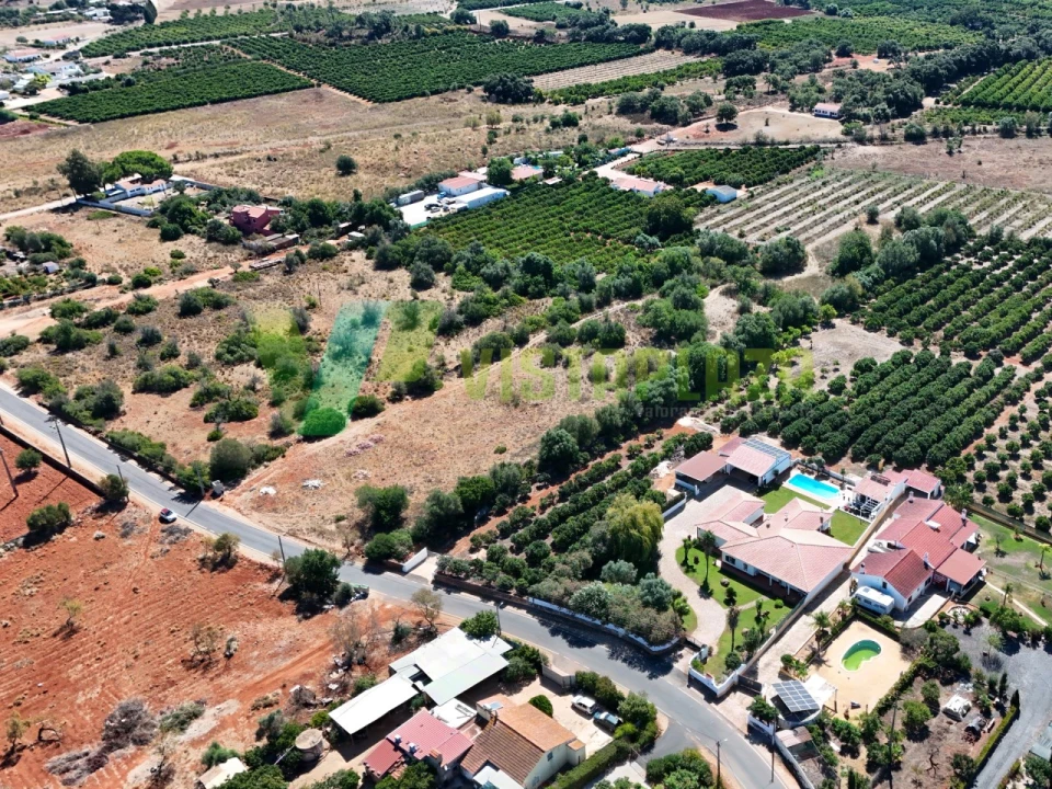Terreno Agricola ou Rústico para Venda em Silves Foto 7