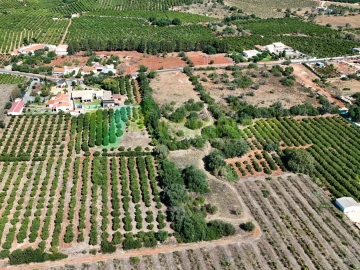 Terreno Agricola ou Rústico para Venda em Silves