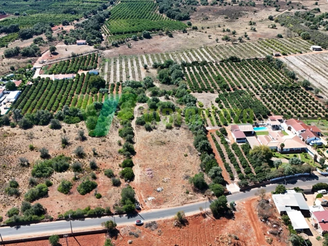 Terreno Agricola ou Rústico para Venda em Silves Foto 8