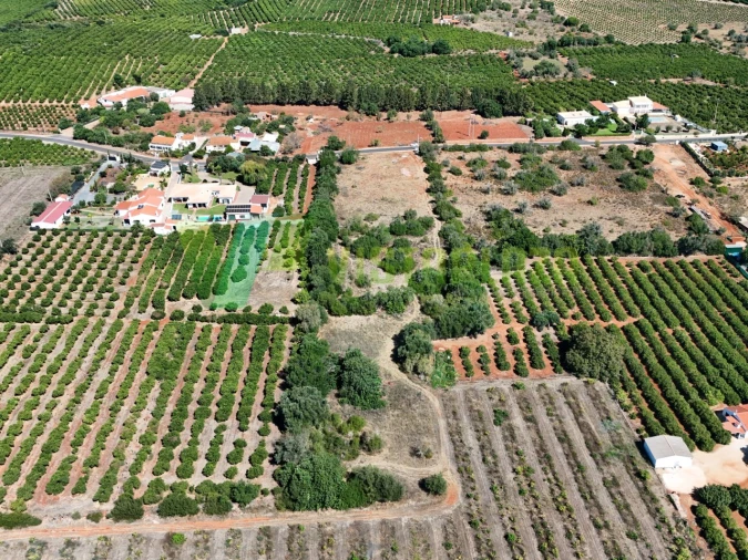 Terreno Agricola ou Rústico para Venda em Silves Foto 9