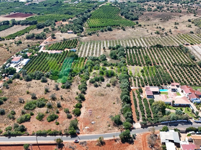 Terreno Agricola ou Rústico para Venda em Silves Foto 13