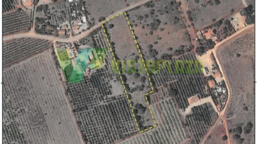 Terreno Agricola ou Rústico para Venda em Silves