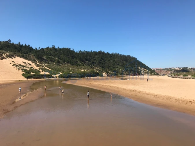 Moradia T3 para Venda em Tornada e Salir do Porto Foto 32