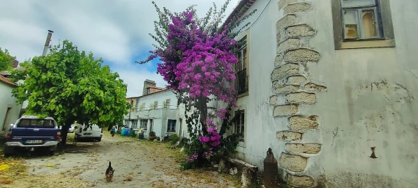 Armazém para Venda em Olaia e Paço