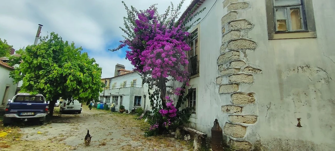 Armazém para Venda em Olaia e Paço Foto 34