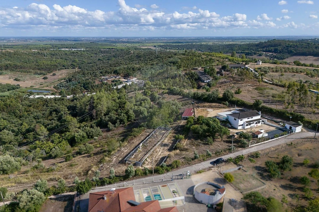 Moradia T5 para Venda em Aveiras de Baixo Foto 3