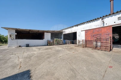 Moradia T5 para Venda em Fazendas de Almeirim