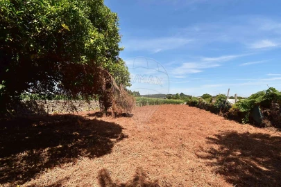 Moradia T5 para Venda em Junqueira