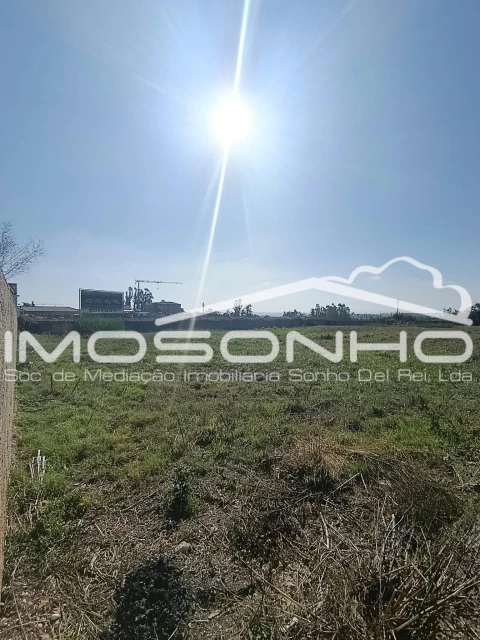 Terreno para Venda em Amor