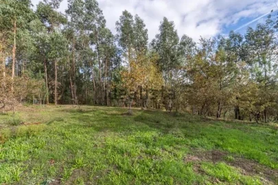 Moradia T4 para Venda em Quinchães