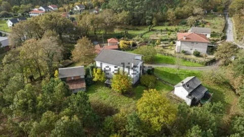 Moradia T4 para Venda em Quinchães
