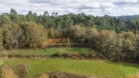 Moradia T4 para Venda em Quinchães