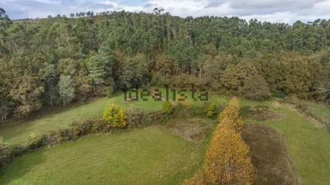 Moradia T4 para Venda em Quinchães
