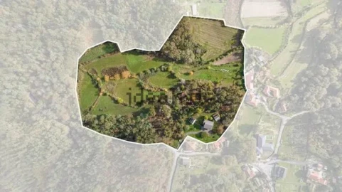 Moradia T4 para Venda em Quinchães