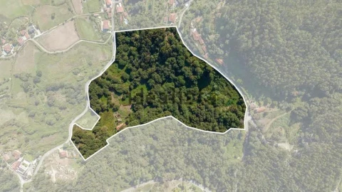 Moradia T7 para Venda em Arcos de Valdevez (São Paio) e Giela