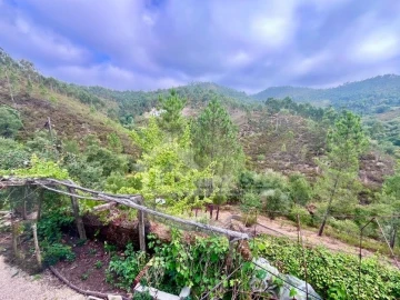 Moradia T4 para Venda em Figueiró dos Vinhos e Bairradas