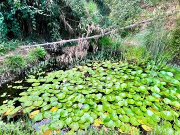 Moradia T4 para Venda em Figueiró dos Vinhos e Bairradas