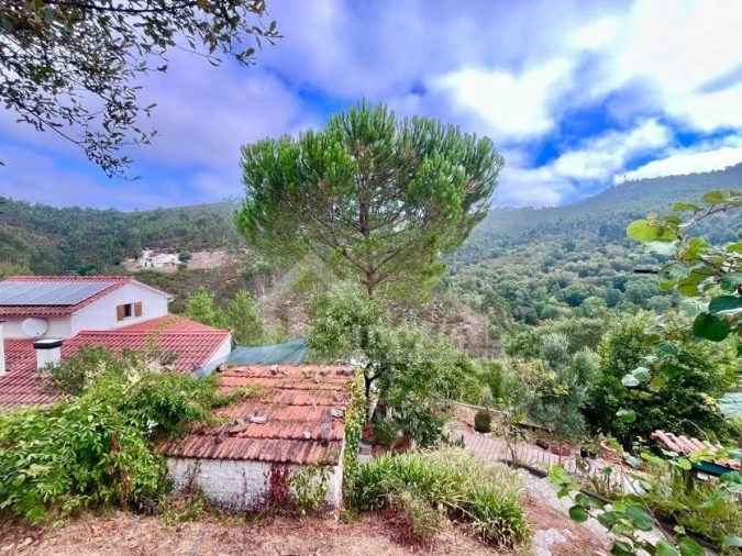 Moradia T4 para Venda em Figueiró dos Vinhos e Bairradas Foto 60