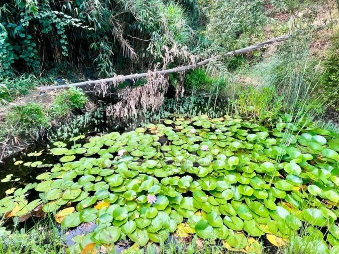 Moradia T4 para Venda em Figueiró dos Vinhos e Bairradas Foto 74