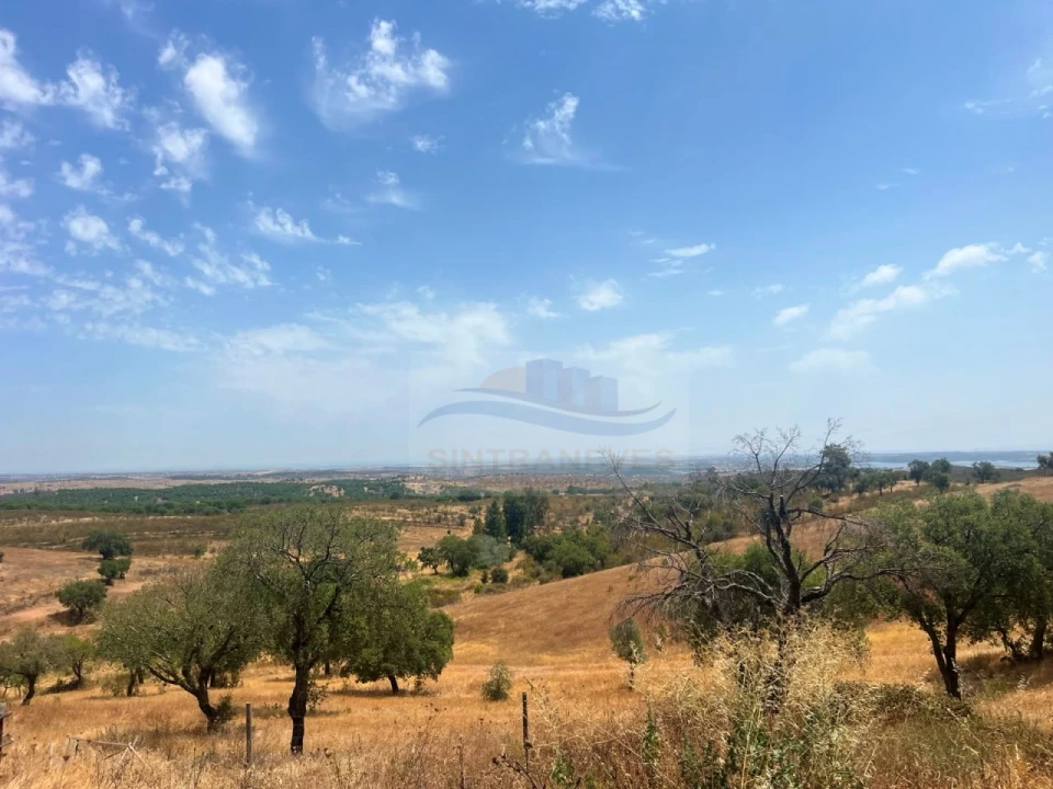 Quinta T4 para Venda em Amieira e Alqueva Foto 17
