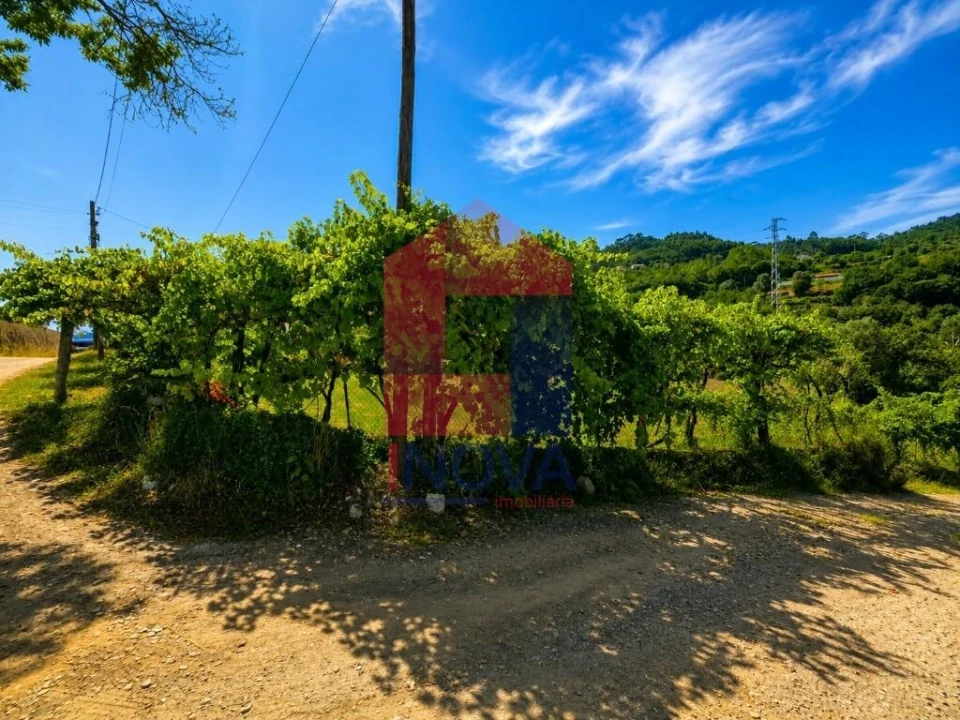 Terreno para Venda em Pico de Regalados, Gondiães e Mós Foto 12