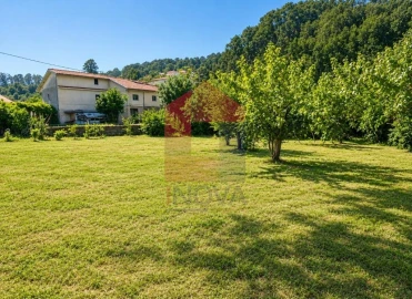 Terreno para Venda em Pico de Regalados, Gondiães e Mós