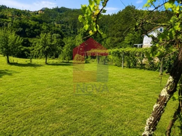Terreno para Venda em Pico de Regalados, Gondiães e Mós