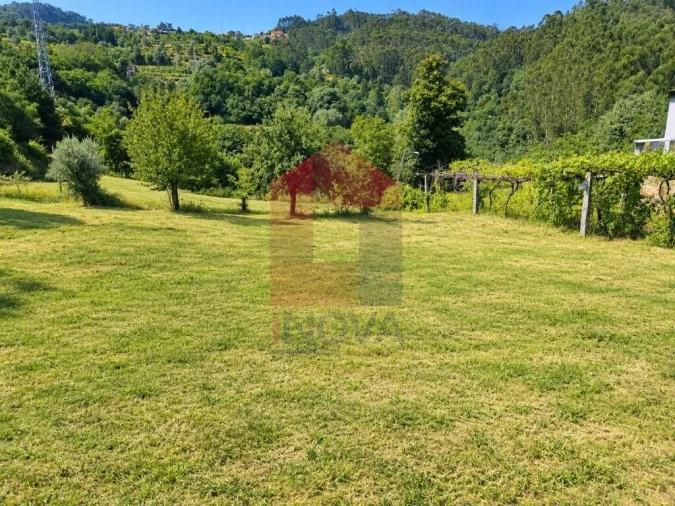 Terreno para Venda em Pico de Regalados, Gondiães e Mós Foto 2