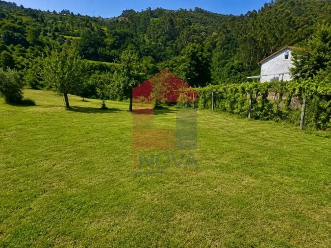 Terreno para Venda em Pico de Regalados, Gondiães e Mós Foto 3