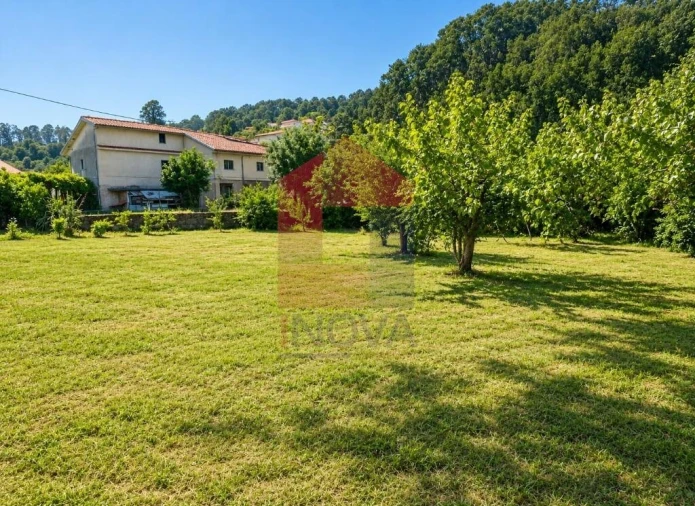 Terreno para Venda em Pico de Regalados, Gondiães e Mós Foto 7
